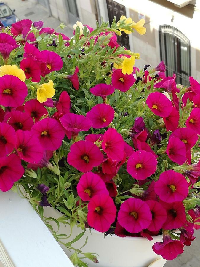 تراني B&B Fabricanovantacinque المظهر الخارجي الصورة